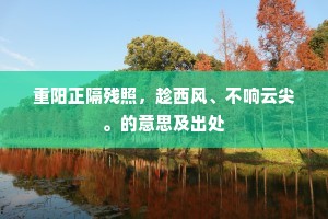 多少深情知不尽，好音相慰强成篇。上一句是什么？