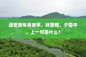 肯向九仙台下歇，闲听孟叟醉吟声。出自哪首诗？