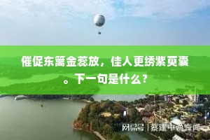晨餐堪醒曹参酒，自恨空肠病不能。的意思及出处