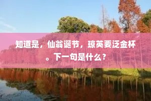 倾耳而听成语的拼音