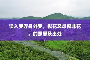 区区小事成语的释义