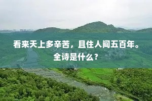 青云旧是高飞处，三载徘徊亦未妨。的释义