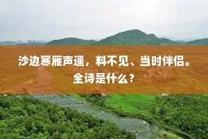 朝退閒斋落叶天，道心真气本仙源。的释义