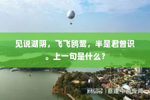 时人自有思齐者，践迹观形不在言。的意思及出处