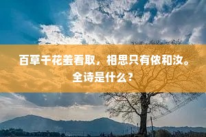 如影随形成语的拼音