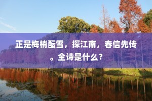 欲知别后情多少，点点凭君看泪痕。全诗是什么？
