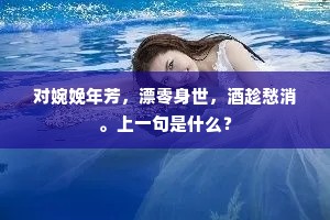 完美无疵成语的拼音