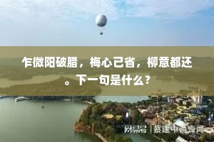 远公池上种何物，碧罗扇底红鳞鱼。上一句是什么？