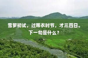 楚王宫地罗含宅，赖许时时听法来。全诗是什么？