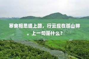 今日京吴建朱邸，问君谁共曳长裾。的解释