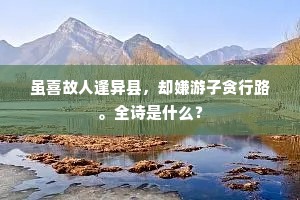 成名郊外掩柴扉,树影蝉声共息机。的释义 成名郊外掩柴扉,树影蝉声共息机。的释义