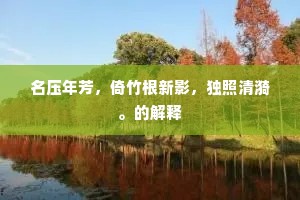 两绶对悬云梦日,方舟齐泛洞庭春。的释义 两绶对悬云梦日,方舟齐泛洞庭春。的释义