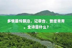 扬长避短成语的拼音