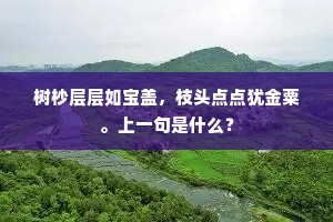 北来南去几时休，人在光阴似箭流。的释义