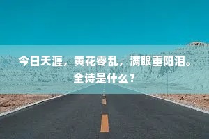 年年宿卫天颜近，曾把功勋奏建章。的释义