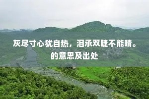 暖辞云谷背残阳，飞下东风翅渐长。出自哪首诗？