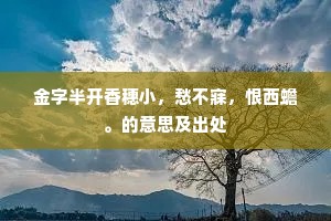 裴回无烛冷无烟，秋径莎庭入夜天。全诗是什么？