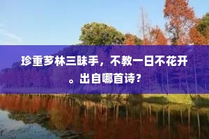 谩把青春酒一杯，愁襟未信酒能开。全诗是什么？