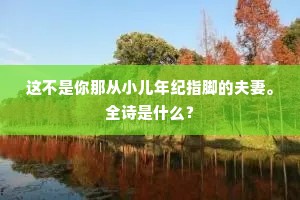 行人骏马嘶香陌，独我残阳倚野桥。的意思及出处