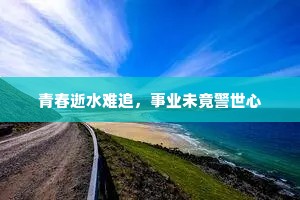安生服业成语的拼音