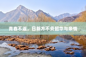 尘土自怜长失计，云帆尤觉有归情。全诗是什么？