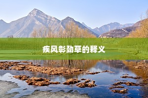 安室利处成语的拼音