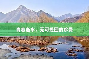安土重旧成语的释义