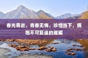 今朝别有承恩处，鹦鹉飞来说似人。全诗是什么？