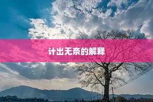 计出无奈的解释