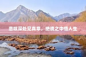 悲叹深处见真章，绝境之中悟人生