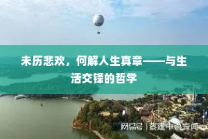 到头忍耻求名是，须向青云觅路岐。的意思及出处
