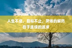 韦曲城南锦绣堆，千金不惜买花栽。的解释