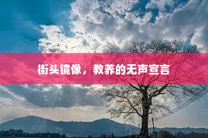 街头镜像，教养的无声宣言