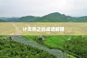 计无所之的成语解释