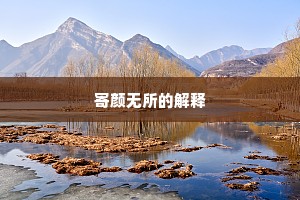 寄颜无所的解释