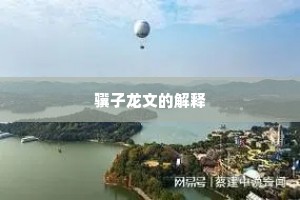 骥子龙文的解释