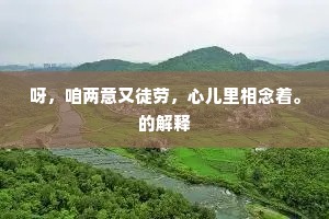 望断长川一叶舟，可堪归路更沿流。下一句是什么？