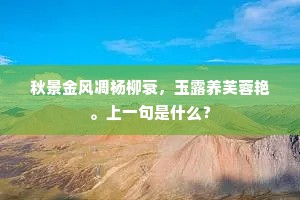何堪身计长如此，闲尽炉灰却是疑。上一句是什么？