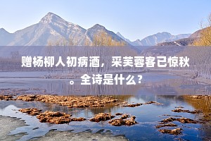 最爱壶中开日月，何须海上访蓬莱。的解释
