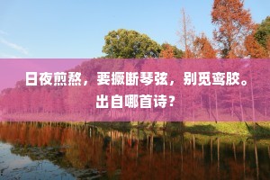 白头而新成语的释义