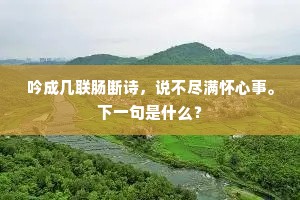 昨宵唯有楼前月，识是谢公诗酒人。的释义