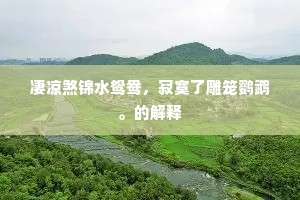 百不失一成语的拼音