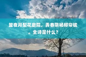 百不一存成语的拼音