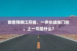斜雪北风何处宿，江南一路酒旗多。的解释
