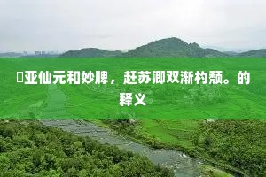 落照苍茫秋草明，鹧鸪啼处远人行。的释义