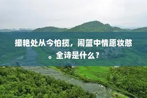 百喙难辞成语的拼音