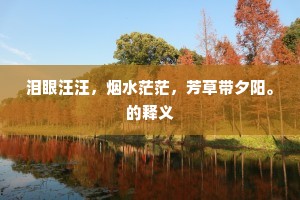 百孔千疮成语的拼音