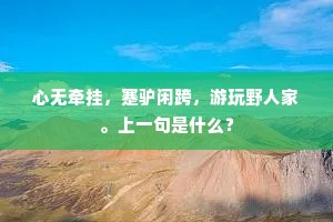 百虑一致成语的解释