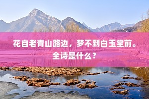 百年不遇成语的拼音
