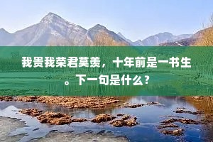 百鸟朝凤成语的拼音